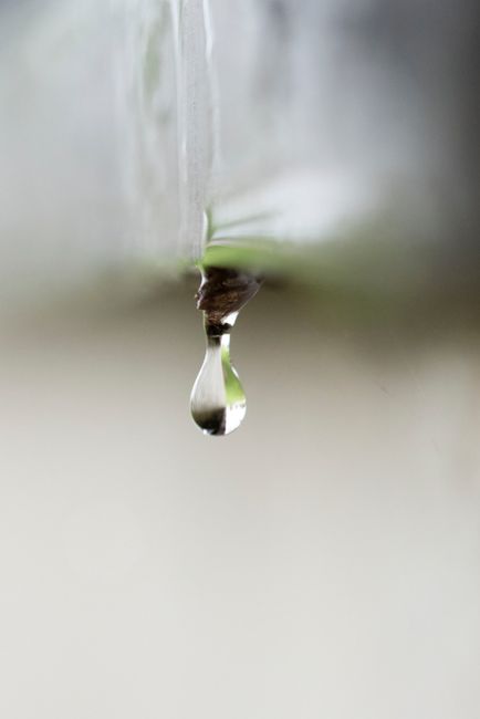 Detailed macro image capturing a solitary waterdrop hanging with blurred background.